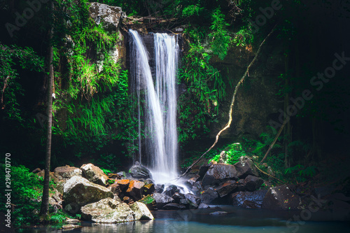 Scenic Curtis Falls in Tamborine National Park, Queensland, Australia