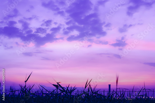 the city in the twilight