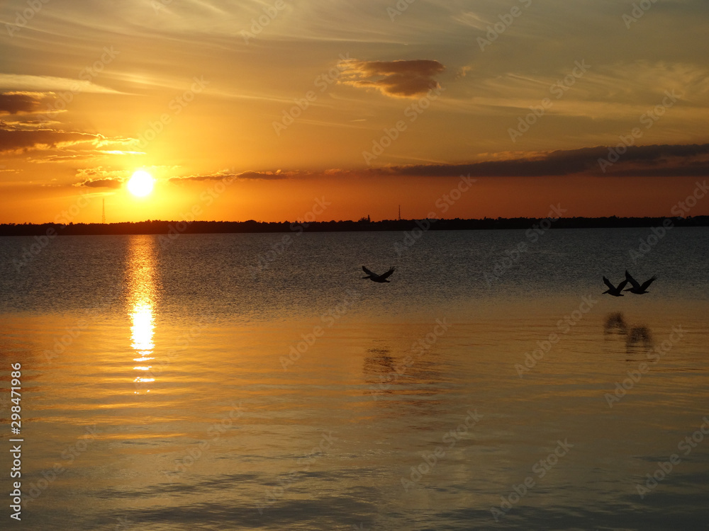 Low Flying Pelican Glides over Calm Water at Florida Sunset