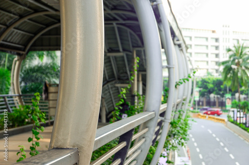 Bridge View Green Plants