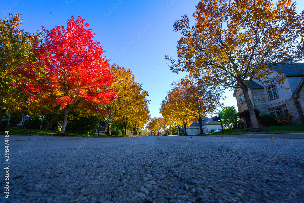 Autumn color neighborhood street