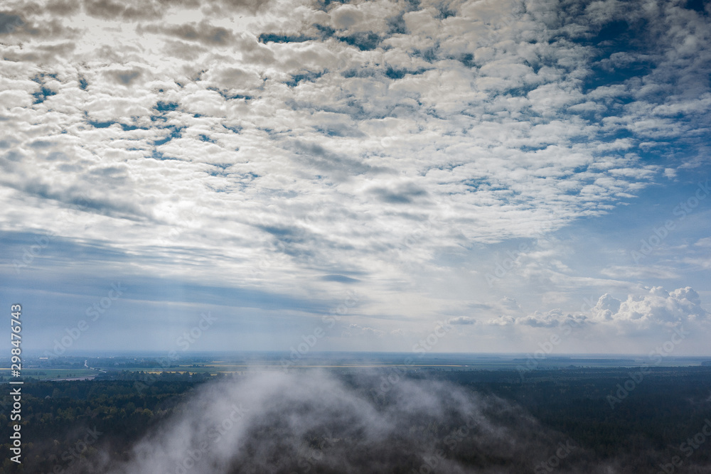 Morning fog over pine forest. Morning fog over pine forest.