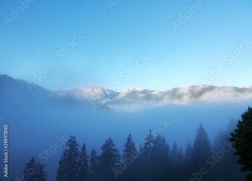 green and gray mountain landscape with forest and thick fog in the valleys © makasana photo