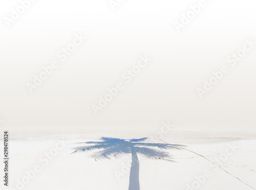 ombre de cocotier sur plage de sable blanc 