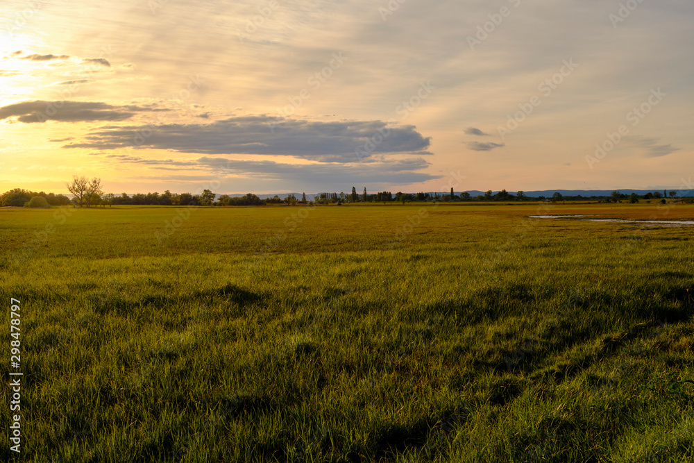 Abendstimmung am Geiselsteller bei Illmitz Neusiedler See bei Illmitz im Nationalpark Neusiedler See, Burgenland, Österreich Abendstimmung am Geiselsteller bei Illmitz Neusiedler See bei Illmitz im Nationalpark Neusiedler See, Burgenland, Österreich