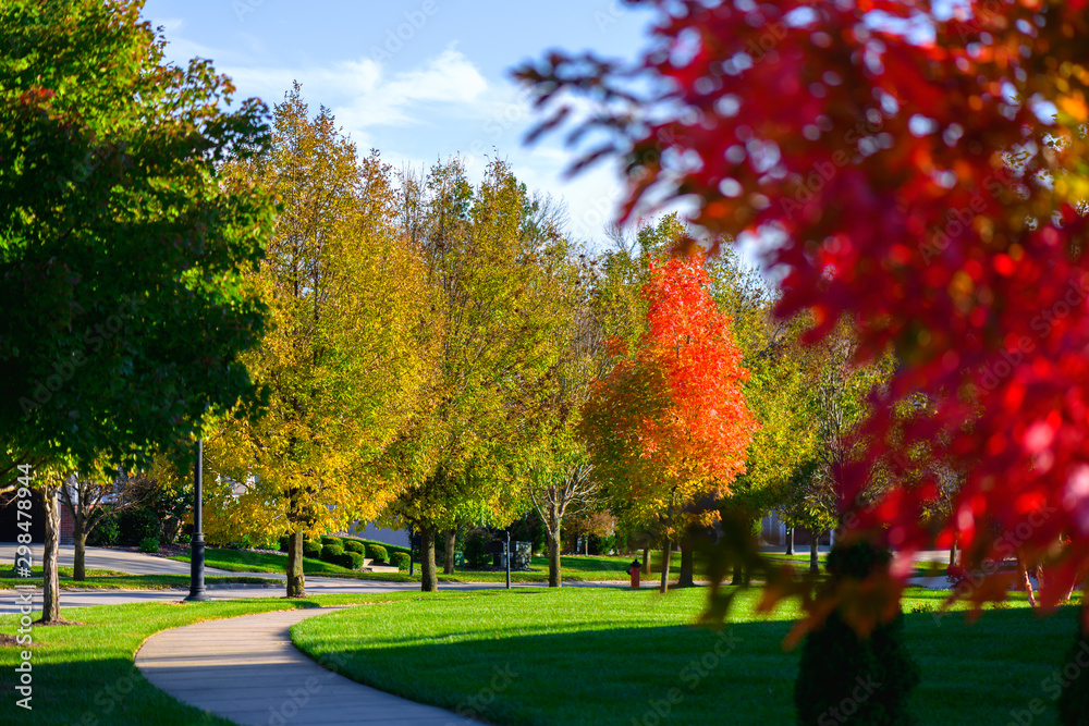 Naklejka premium autumn color sidewalk