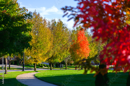 autumn color sidewalk