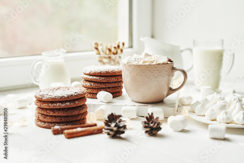 Christmas cookies  milk  cocoa  marshmallows  meringue on a white plate by the window