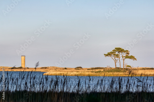 Rehoboth Beach Landscape with Watchtower