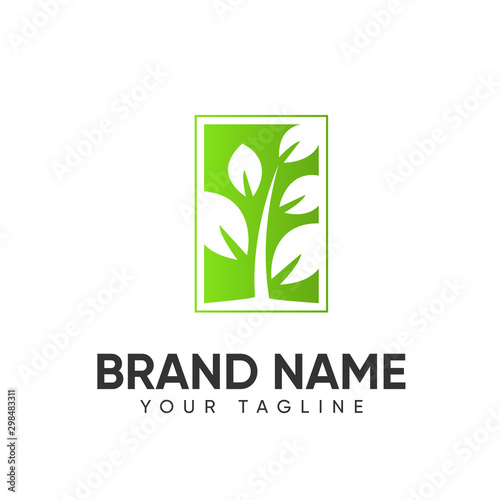 Fototapeta Naklejka Na Ścianę i Meble -  Leaf Logo Design Concept Template Full Color For Company