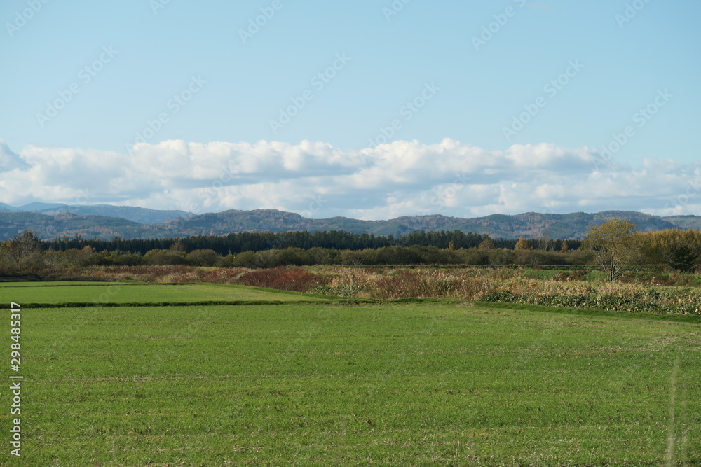 秋の日本国北海道の田舎の畑