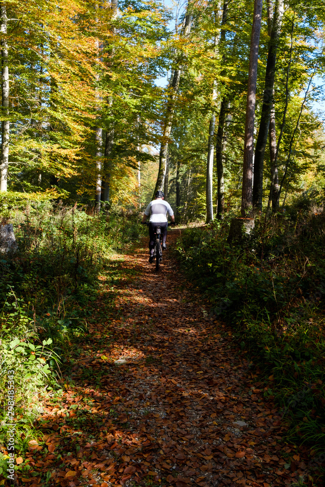 Mountain biker In the colorful forrest in autumn, vertical