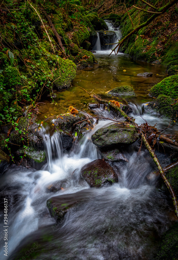 Fototapeta premium Autumn time in the river