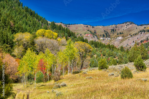 autumn landscape in mountains