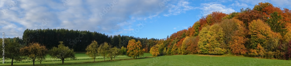 Herbstwald Panorama Laubwald und Nadelwald Herbstwald Panorama Laubwald und Nadelwald