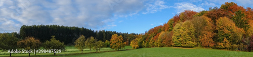 Herbstwald Panorama Laubwald und Nadelwald