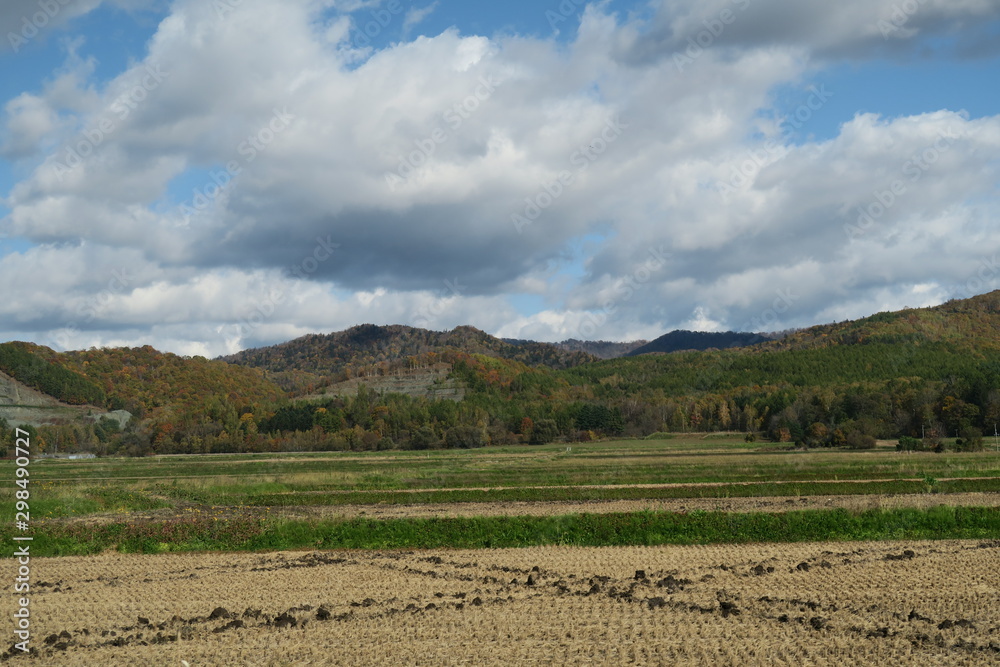 秋の日本国北海道の田舎の畑 秋の日本国北海道の田舎の畑