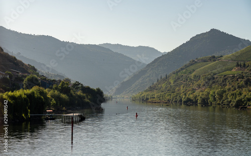 River Douro flowing through narrow gorge with terraces of wines and vineyards on the banks in Portugal near Pinhao