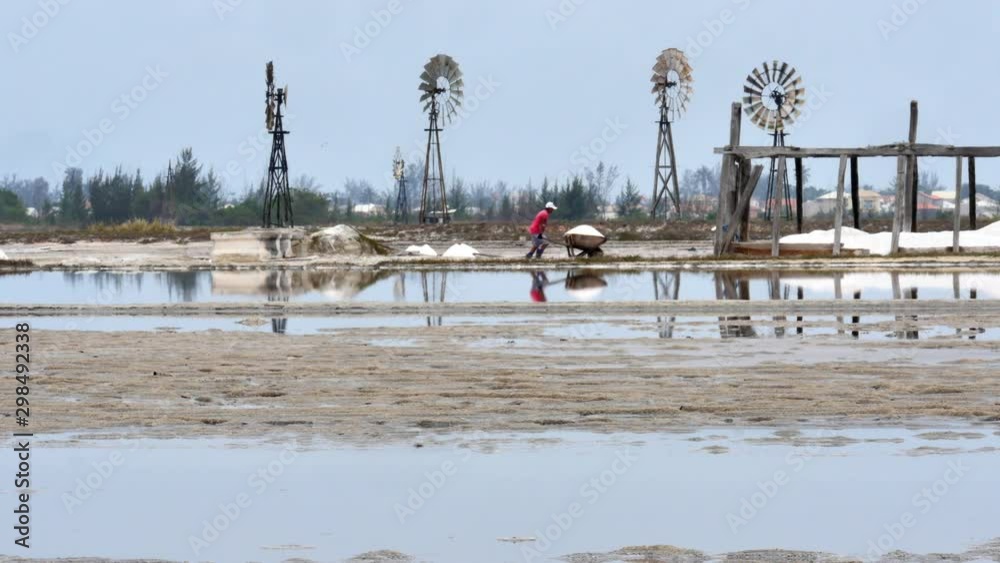 Worker pushing wheelbarrow filled with salt and empties it, panoramic salt field scene Worker pushing wheelbarrow filled with salt and empties it, panoramic salt field scene