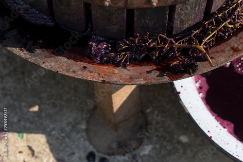 Fototapeta Naklejka Na Ścianę i Meble -  Wine making. Juice is merged from special equipment. Technology of wine production in Moldova. The  ancient folk tradition of grape processing. Viticulture. The squeezer is used to press the wine.
