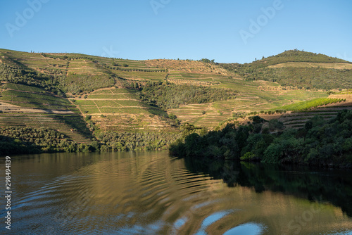 Terraces of wines and vineyards on the banks of the calm River Douro in Portugal near Pinhao