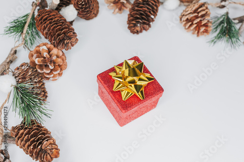 Christmas card: red gift box and Christmas tree branch on white