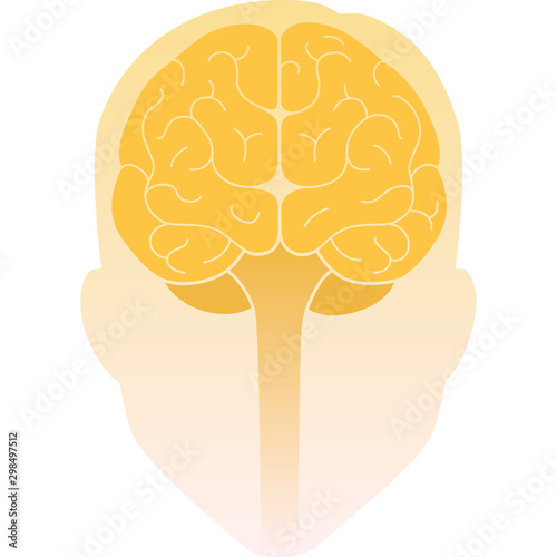 Human head front view and the brain inside. Human brain front view. Vector illustration. Flat design