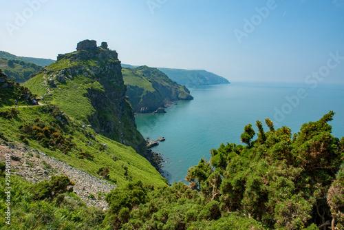 Steep cliffs with flowers growing amongst the rocks, Lynton, North Devon near the Valley of the Rocks