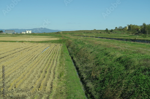 秋の日本国北海道の田舎の畑