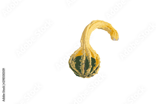 Gourd