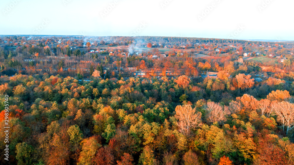 Arial drone photography of autumn treetops. Top down view.