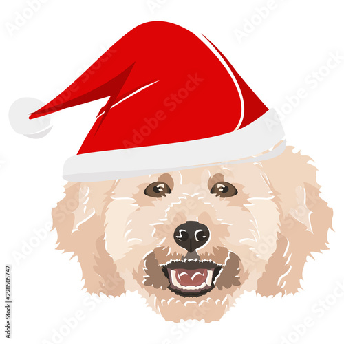 Illustration Pudel mit roter Weihnachtsmütze
