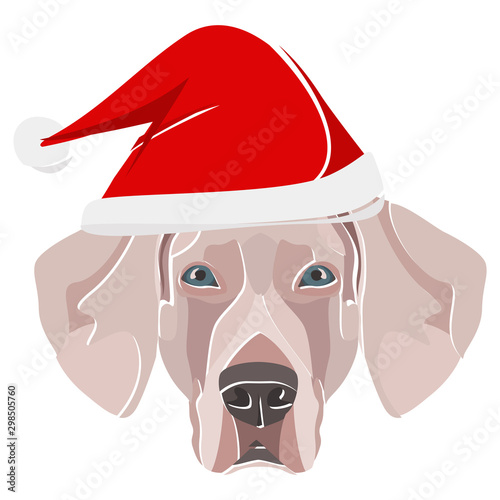Illustration Weimaraner mit roter Weihnachtsmütze