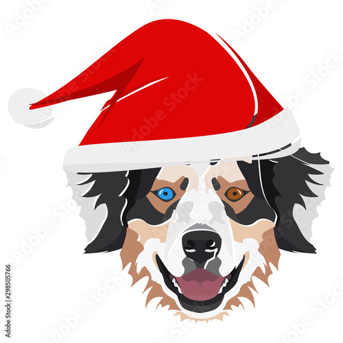 Illustration Australian Shepherd mit roter Weihnachtsmütze