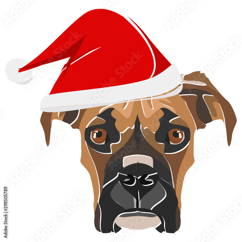Illustration Boxer mit roter Weihnachtsmütze