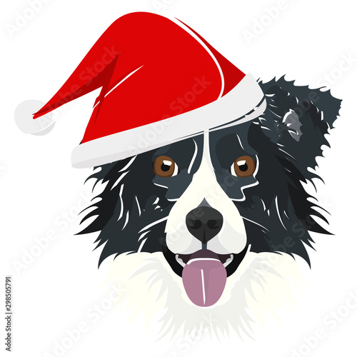 Illustration Border Collie mit roter Weihnachtsmütze