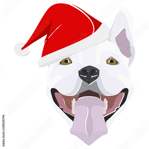 Illustration Bullterrier mit roter Weihnachtsmütze