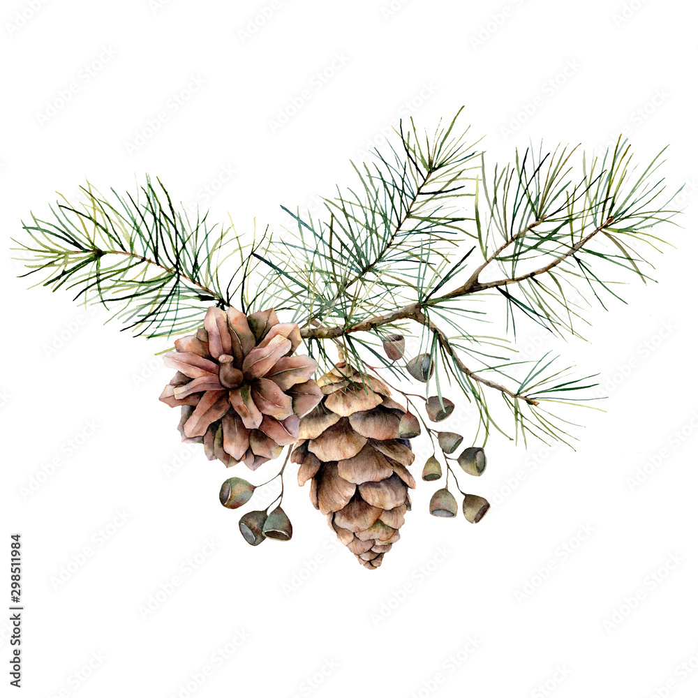 Watercolor botanical set with pine branches, cones and seeds. Hand painted winter holiday plants isolated on white background. Floral illustration for design, print, fabric or background. - obrazy, fototapety, plakaty 