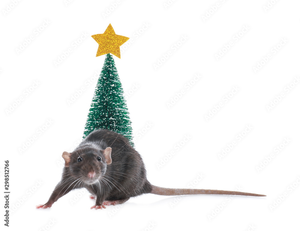 Cute little rat near decorative Christmas tree on white background. Chinese New Year symbol Cute little rat near decorative Christmas tree on white background. Chinese New Year symbol