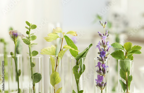 Closeup view of test tubes ...