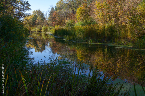 Scenic view of small river in the autumn forest, Ukraine.