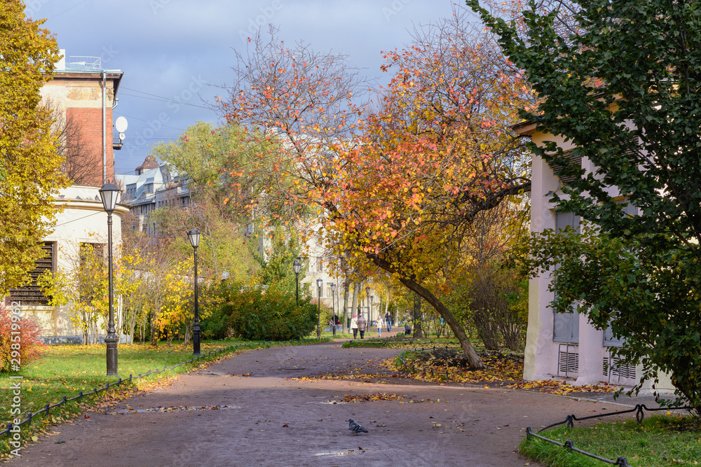 City quiet street in late autumn among bright trees