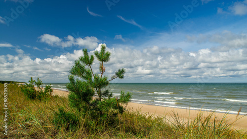 Fototapeta Naklejka Na Ścianę i Meble -  Baltic sea. Beautiful landscape. View of coastline.