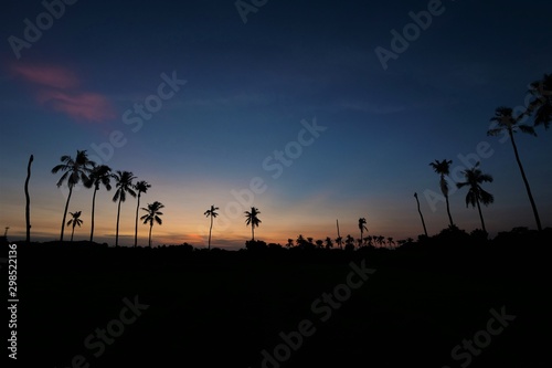 sunset in the farm