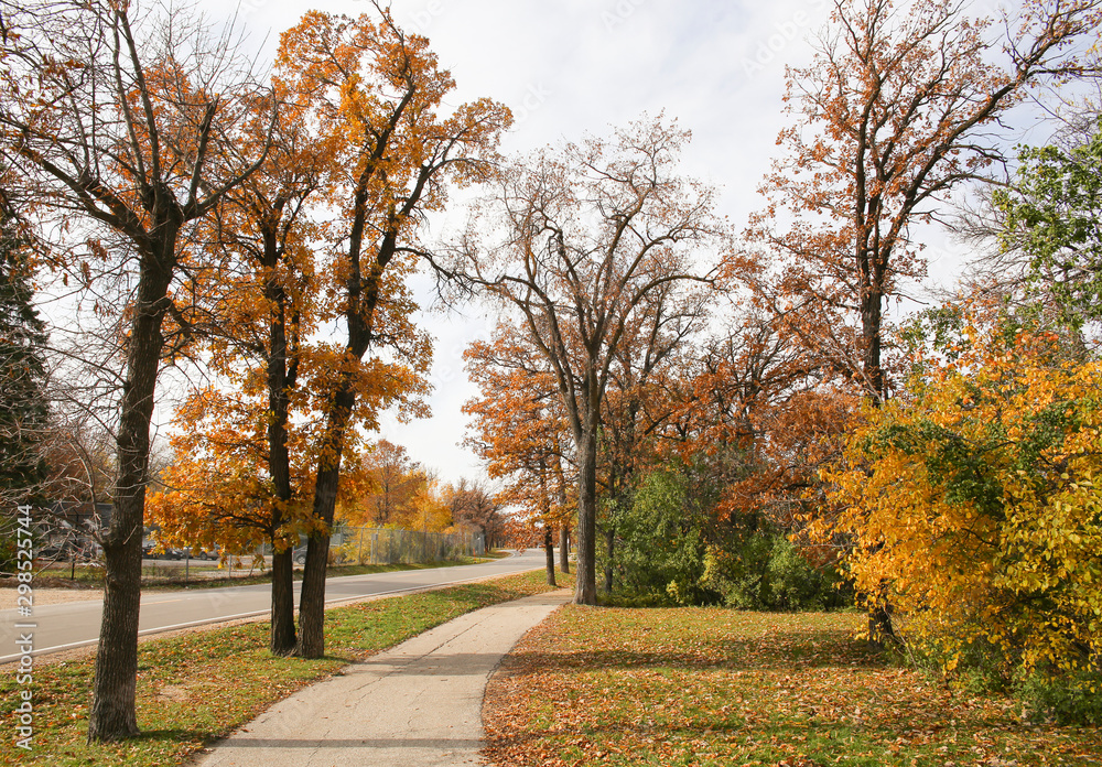 Naklejka premium Autumn Landscape. Romantic Path.
