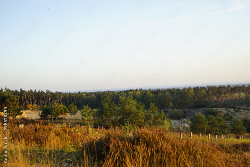 Bielefeld Senne Naturschutzgebiet Bielefeld Senne Naturschutzgebiet