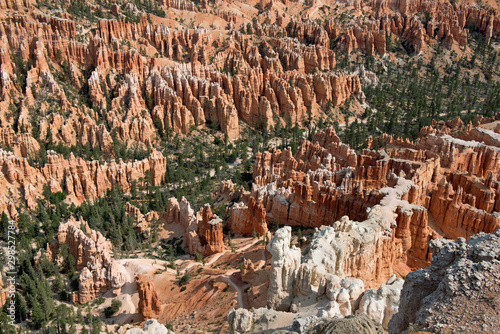 Bryce Canyon with white rocks in front, red hoodoos and trees