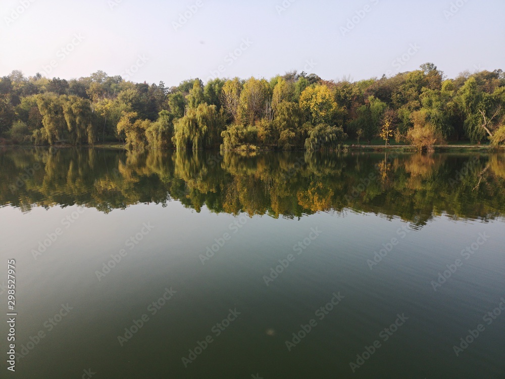 Reflection of trees in the lake during fall season