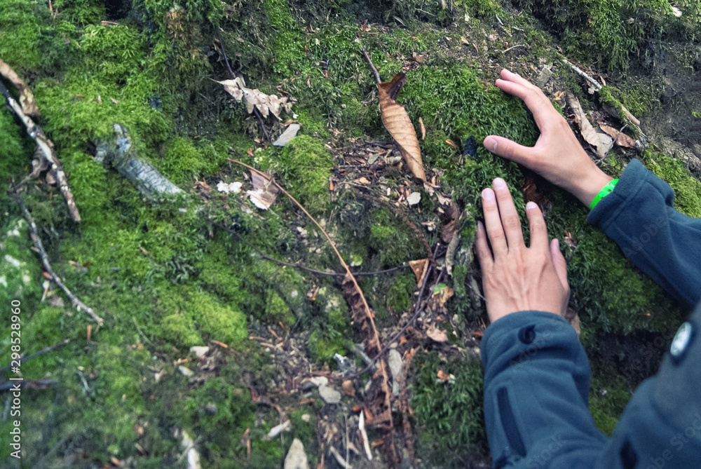 the hands of the man studying the green moss on the rock