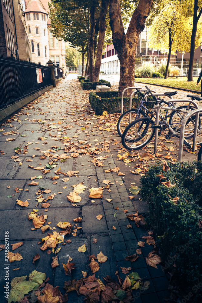 autumn leaves on footpath bicycle parked